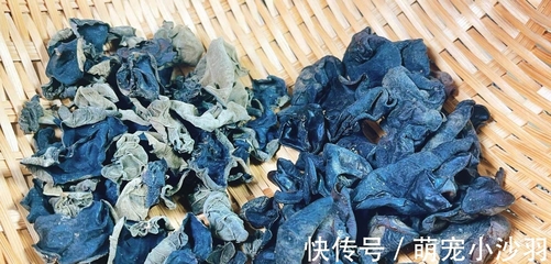 別再用水直接泡！加一勺白色粉末，木耳干凈又快又好，蟲子跑光光